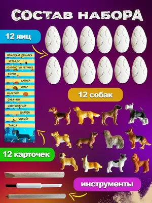 3 шт., резиновые игрушки-яйца для собак | AliExpress