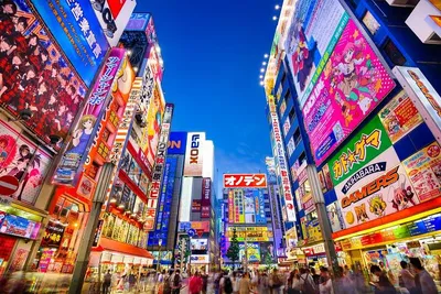 Отдых в Японии. Все что нужно знать о Японии: климат, курорты, кухня, виза