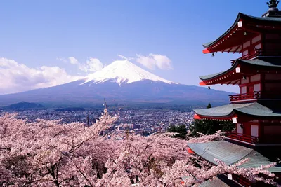 Япония - Информация для поездки - Поиск попутчиков с Triplook