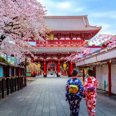 Япония отменит ограничения на въезд для туристов