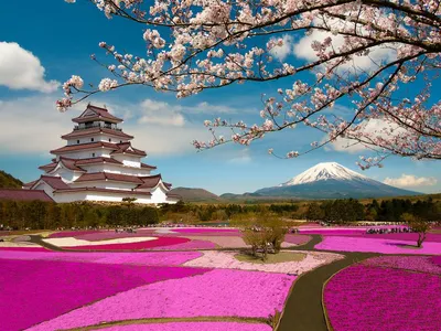 🏛️ 10 мест, которые стоит посетить в Японии | Smapse