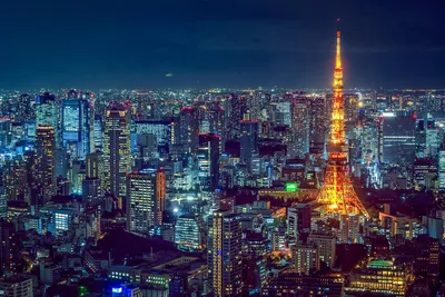 Рынок недвижимости Японии | TRIBE.Недвижимость | Дзен