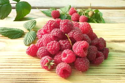 Малина соблазнительная или тибетская, Rubus illecebrosus