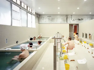 Строительство элитной японской бани под ключ для частного дома