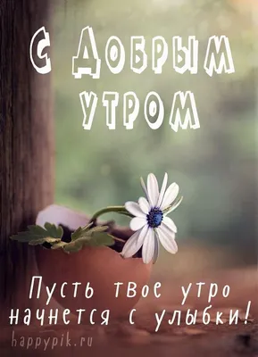 Интересные картинки с добрым утром. Яркие открытки! | Доброе утро,  Картинки, Надписи