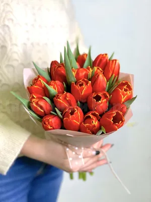 Яркие тюльпаны голландские в нежном оформлении (51 шт) №1565 купить в  Саранске