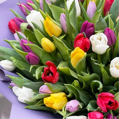 Заказать яркие тюльпаны FL-2292 купить - хорошая цена на яркие тюльпаны с  доставкой - FLORAN.com.ua