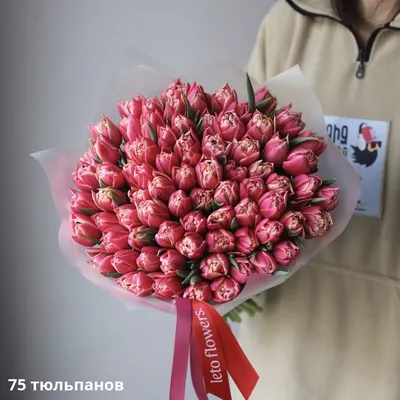 Тюльпаны \"Яркие краски\" | Харьков - Florina