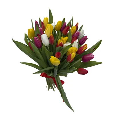 Яркие цветные тюльпаны на цветочном рынке Стоковое Фото - изображение  насчитывающей розница, тюльпан: 154492054
