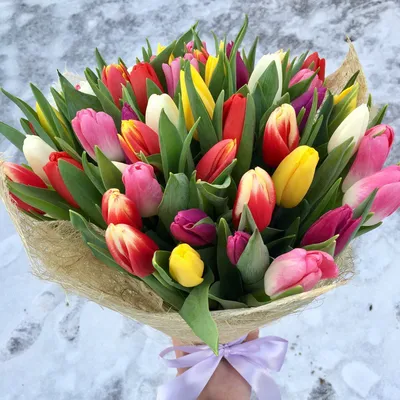 Яркие тюльпаны - купить с доставкой в Омске - LAVANDA