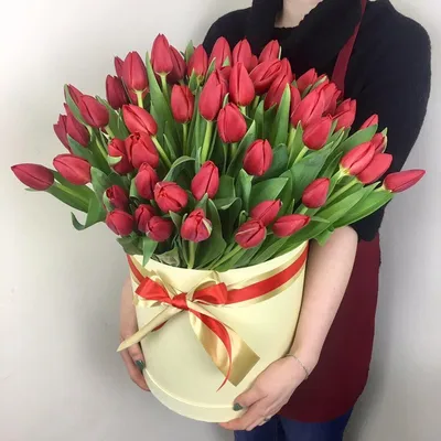 Яркие тюльпаны в коробке стоковое фото. изображение насчитывающей  естественно - 38123640