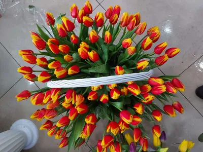Яркие тюльпаны (25 шт.)