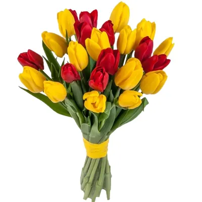 Купить яркие тюльпаны DF-1996 с доставкой заказать яркие тюльпаны в ❤ДеФлор