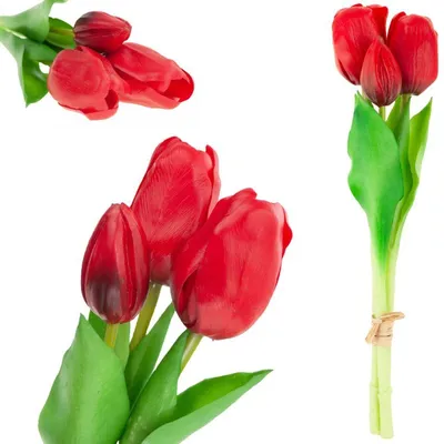 Яркие тюльпаны голландские в нежном оформлении (25 шт) №1560 купить в  Саранске