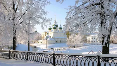 Ярославль: зимние пейзажи на фото
