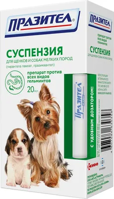 Руководство по беременности собак | ВКонтакте