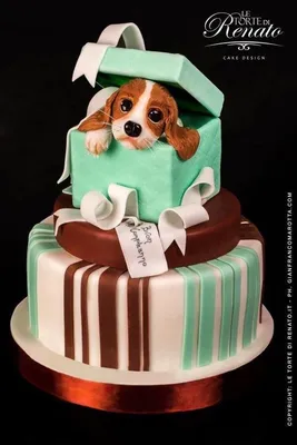 Забавный подарок: собака Джека Расселя Терье с красным носом Стоковое Фото  - изображение насчитывающей лук, собака: 163885324