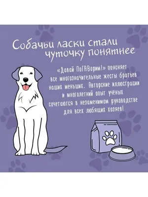 Почему собака высовывает язык? - Все о собаках на Wikipet!