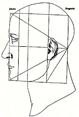 Любовные сигналы: что язык тела расскажет об отношениях? | PSYCHOLOGIES