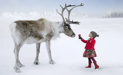 Идеи для фотосессии детей