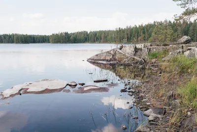 Идеи для фотосъёмки летом — как сделать крутые кадры | Статьи | Фото,  видео, оптика | Фотосклад Эксперт