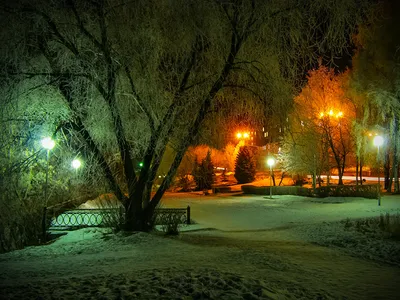 Фотографии Новый год Зима Снег Ночные Гирлянда Уличные фонари Здания