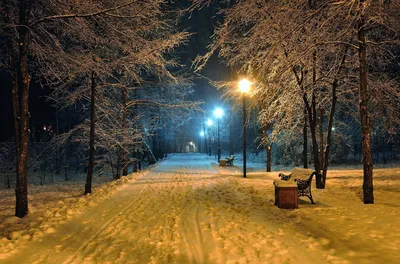 Фотографии Новый год 3д Зима снеге в ночи Уличные фонари Дома