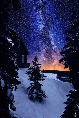 Зимний парк ночью (54 фото) - 54 фото
