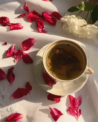 Valerie Gertsenshtein on Instagram: “Записки из Дня чаепития 🕊 Не скрою,  таких дней в неделю у меня несколько. В особенный пер… | Красные розы,  Белые розы, Розы