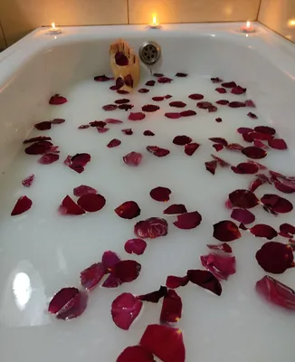 Молодая женщина с розой лежа среди лепестков розы Стоковое Фото -  изображение насчитывающей волосы, люди: 152021138