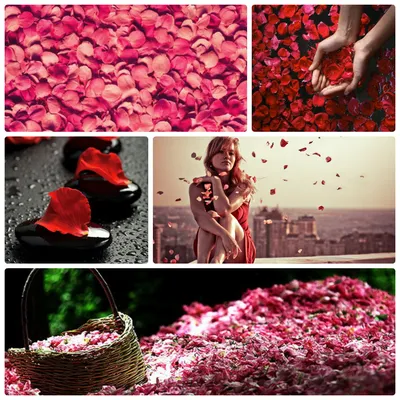 Лепестки роз: рецепты масок и лосьонов для лица, розового варенья и идеи по  декору