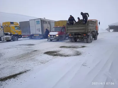 Замерзшая красота: бесплатные картинки снега на выбор