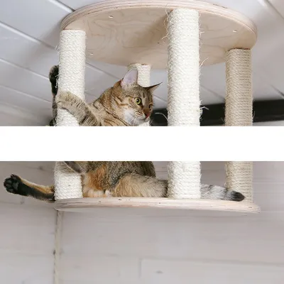 Домик для кошки с когтеточкой Комфорт Х игровой комплекс, серый - отзывы  покупателей на маркетплейсе Мегамаркет | Артикул товара:600007082744