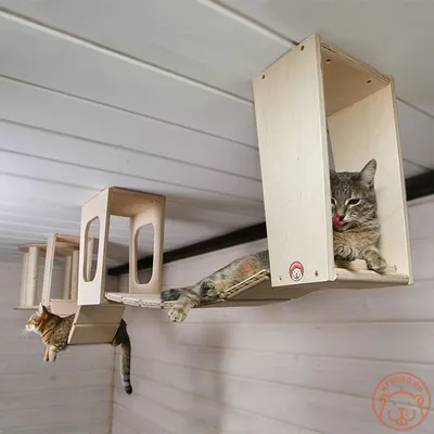 Интернет-магазин когтеточек для кошек | Производство домиков и игровых  комплексов на заказ от Котомастер