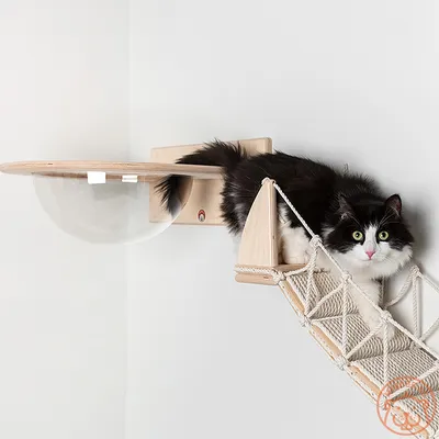 О нас — Проект Котоход — игровые комплексы для кошек и котов
