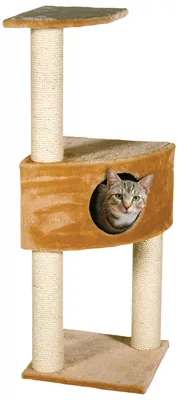 Комплекс настенный для кошек «Стратосфера» купить