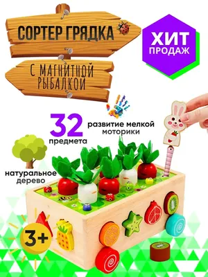 Купить Деревянная игрушка Сортер. Tree Toys MD 1853 недорого