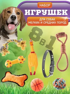 Игрушка для собак Liker Lumi Мячик малый