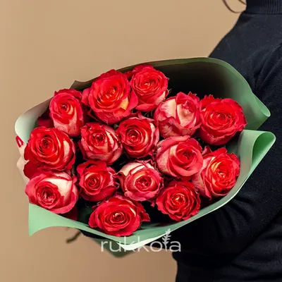 Пачка роза игуана с доставкой недорого, купить в СПб дешево