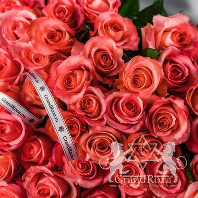 Grand Roza доставка цветов по России