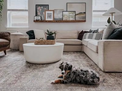 International Sales – IKEA Global