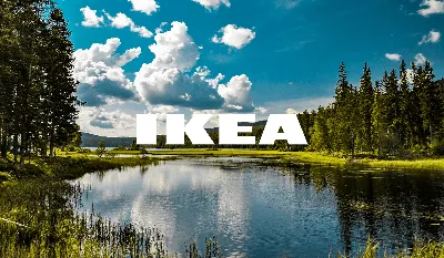 Your Complete Guide to Shopping at IKEA