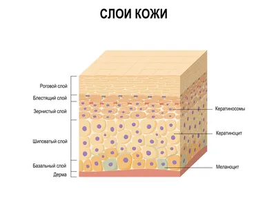 Ребенку из Великих Лук с кожей, похожей на чешую, нужна помощь : Псковская  Лента Новостей / ПЛН