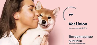 У собаки появилась перхоть: что делать хозяину | PERFECT FIT™