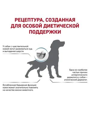 Цены Ветеринарного центра Базылевского | Севастополь