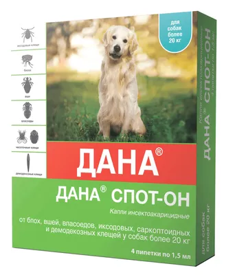 Клещ у собаки: симптомы, как обнаружить, лечение и профилактика | Royal  Canin UA