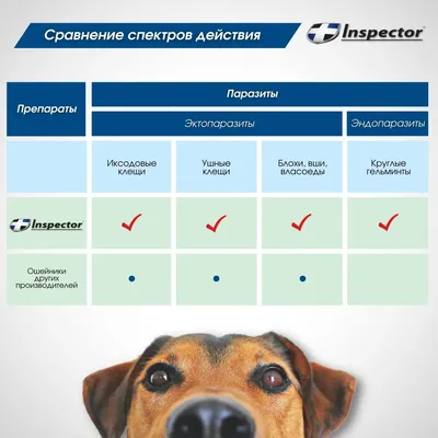 Защита от иксодовых клещей - Новости - Главное управление МЧС России по  Сахалинской области