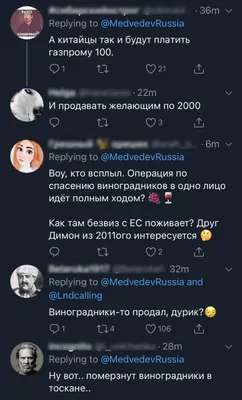 Илья дмитриевич медведев: фото в hd - png