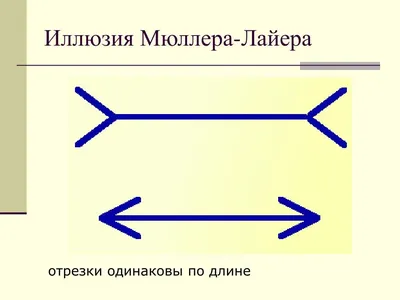 Иллюзия мозга или обман зрения: как это работает? Испытайте эффект  остаточного зрения на себе / Оффтопик / iXBT Live