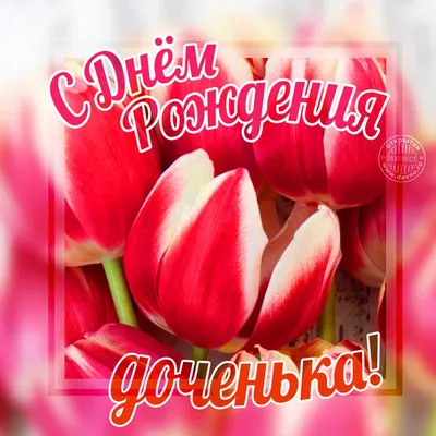 С Днём Рождения | Семейные дни рождения, Цитаты о дне рождения, С днем  рождения